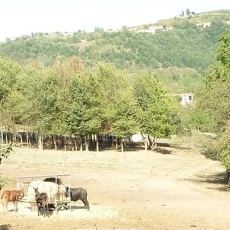Il Grappolo In Langa Villa Monastero Bormida Eksteriør bilde